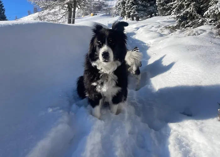 Maris Luxus-chalet Mit Saunahaus Gerlitzen 1720m *