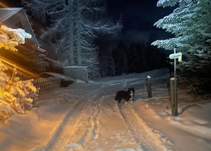 Maris Berghuette Gerlitzen 1720m Dom wakacyjny *